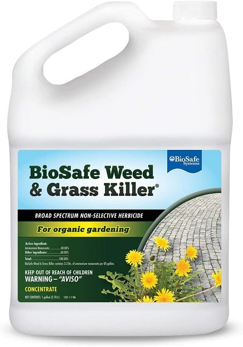 BioSafe Weed killer