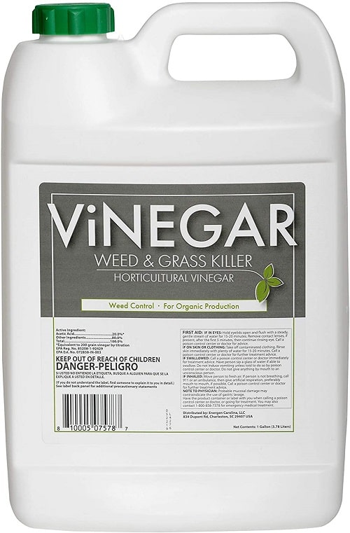 Energen Carolina Vinegar Weed and Grass Killer-min